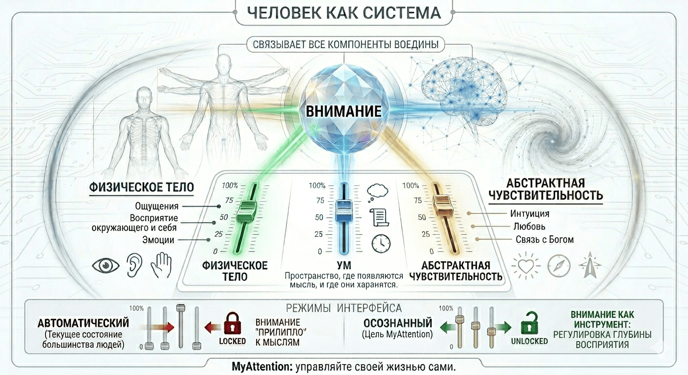 myattention - схема-человека